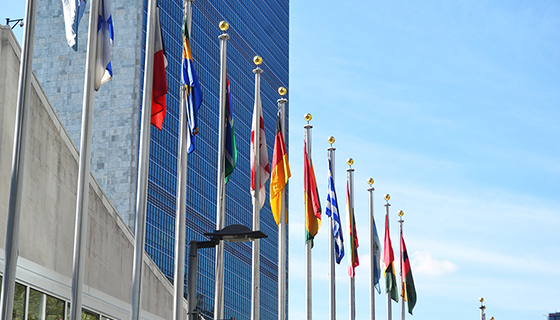 Flags, UN