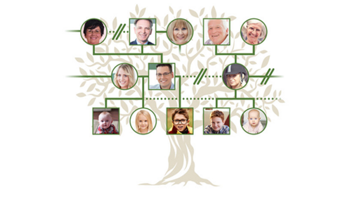 family tree