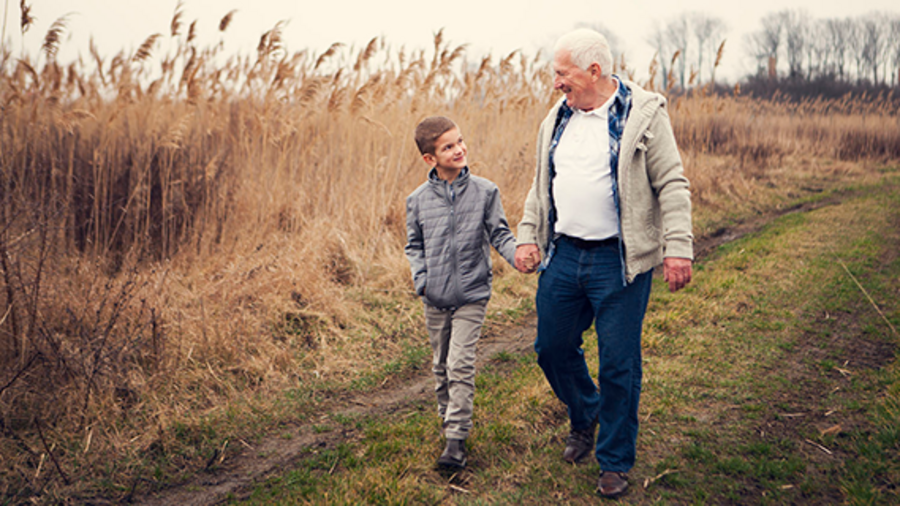 Elder, young, senior