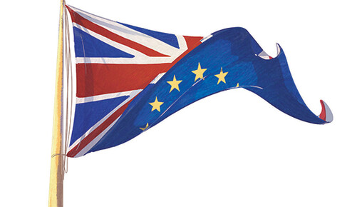 Brexit, Flag