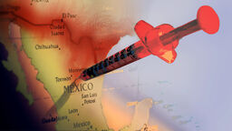 Los carteles chinos se han infiltrado en México