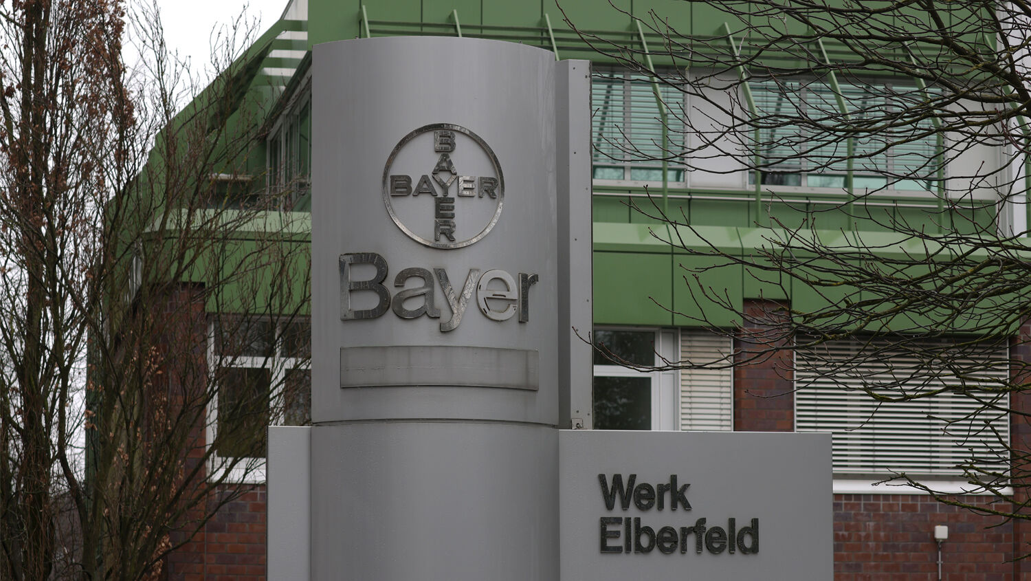 210216 Bayer Getty Images 1302299643 210216 Bayer Getty Images 1302299643