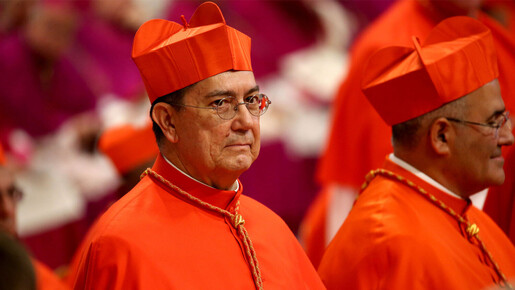 Un cardenal pide un mundo sin fronteras