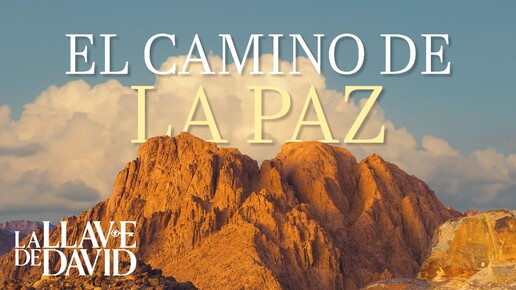 El camino de la paz