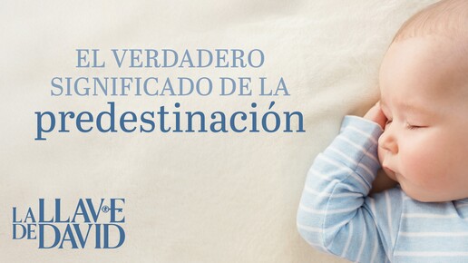 El verdadero significado de la predestinación