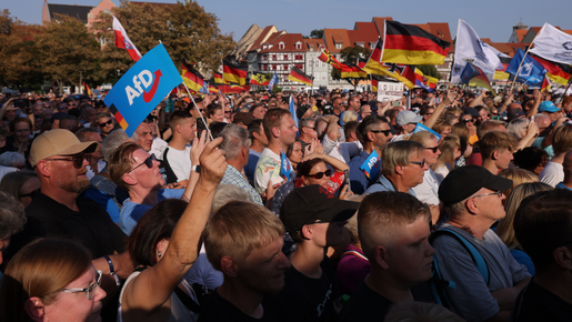 Alemania: la AfD alcanza su máximo histórico después de las elecciones