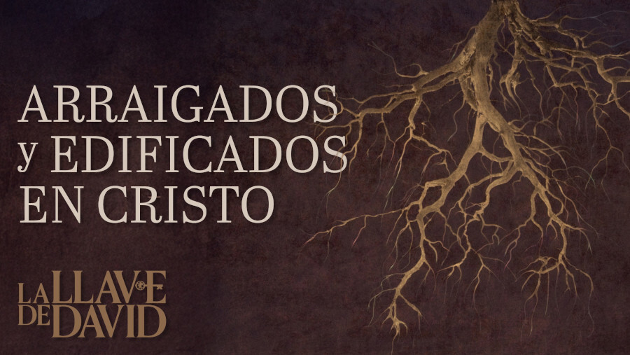 Arraigados y edificados en Cristo