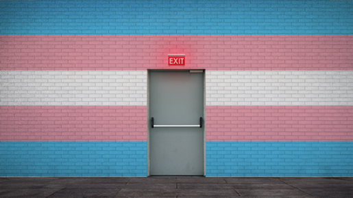 Despertando de la pesadilla del transgenerismo