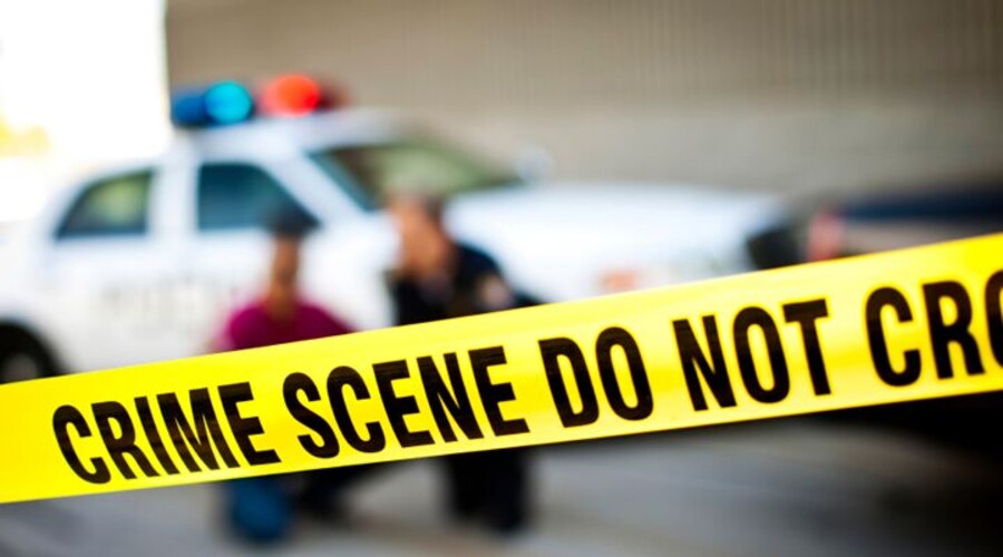 La tierra está llena de delitos de sangre