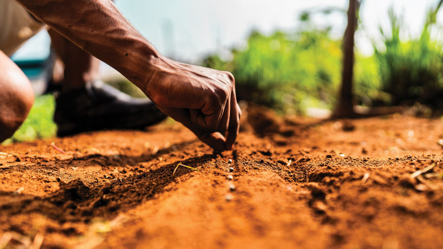 ¿Qué hará usted con la verdad?