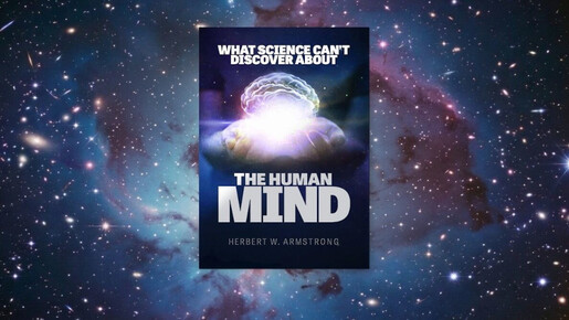 Expertos en IA: ¡Despierten!