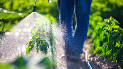 Toxinas internas: 50 años de glifosato