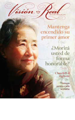 Visión Real - noviembre-diciembre 2025