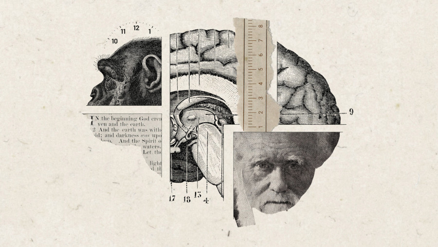 Un verdadero cristiano no puede creer en la evolución