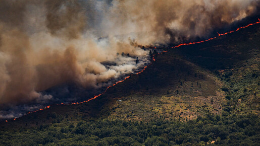 320.000 evacuados por los incendios forestales que arrasan Francia y España