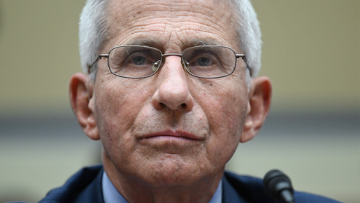 La revelación más importante en el diario de Fauci