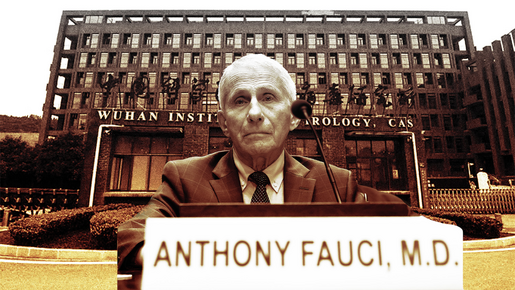Fauci se acoge repetidamente a la Quinta Enmienda en la confrontación del Senado