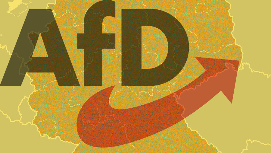 ¿Es la AfD un peligro para los planes militares alemanes?